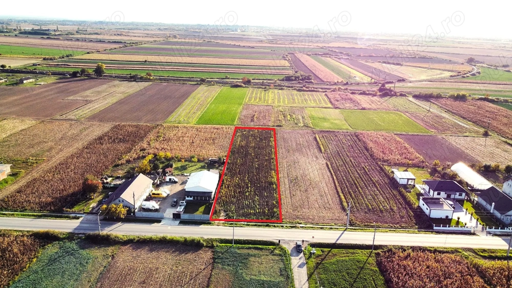 Teren intravilan de vanzare   3000 mp, Botiz, str. Sirul Mare, la doar 7 km de centrul Satu Mare
