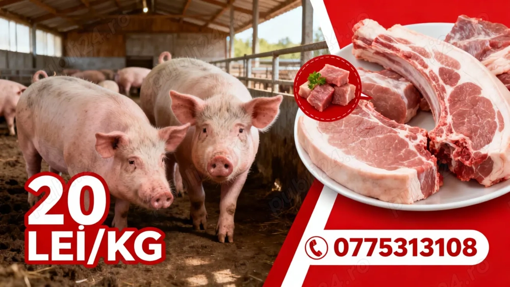 porc craciun 100 kilograme 1800 lei 