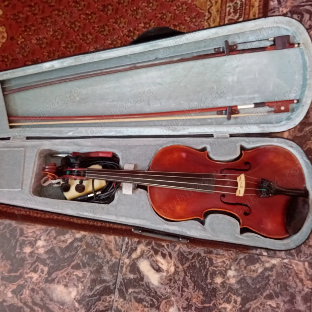 Viioara Jacobus Stainer