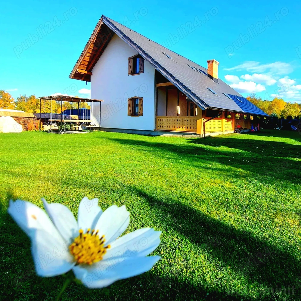 Cabana Cuibul Brăneanului Bran