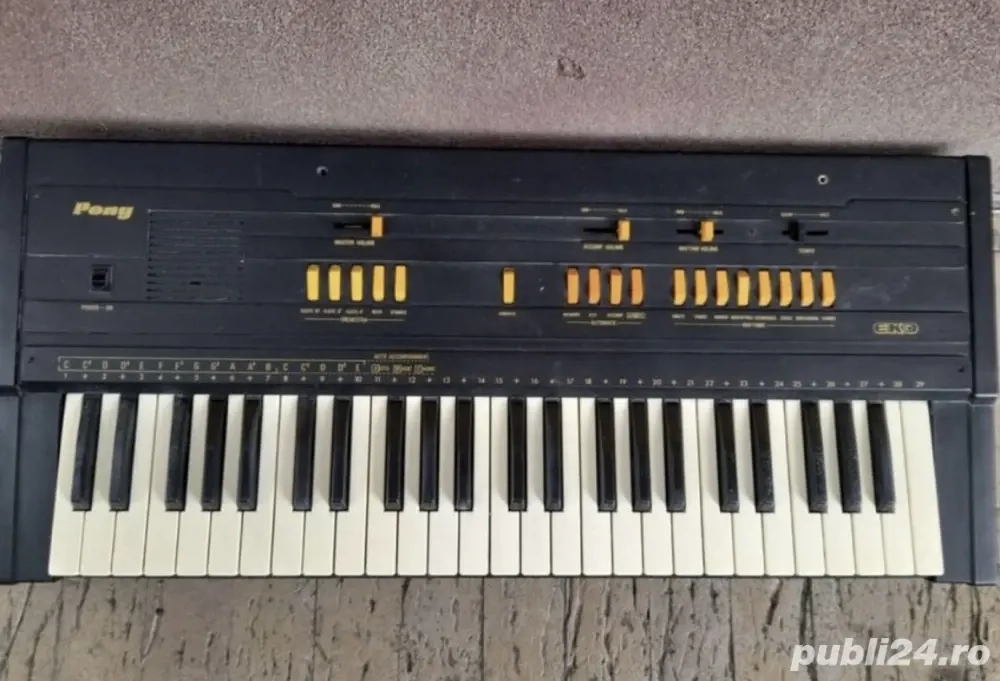 Eko Pony orga electronica