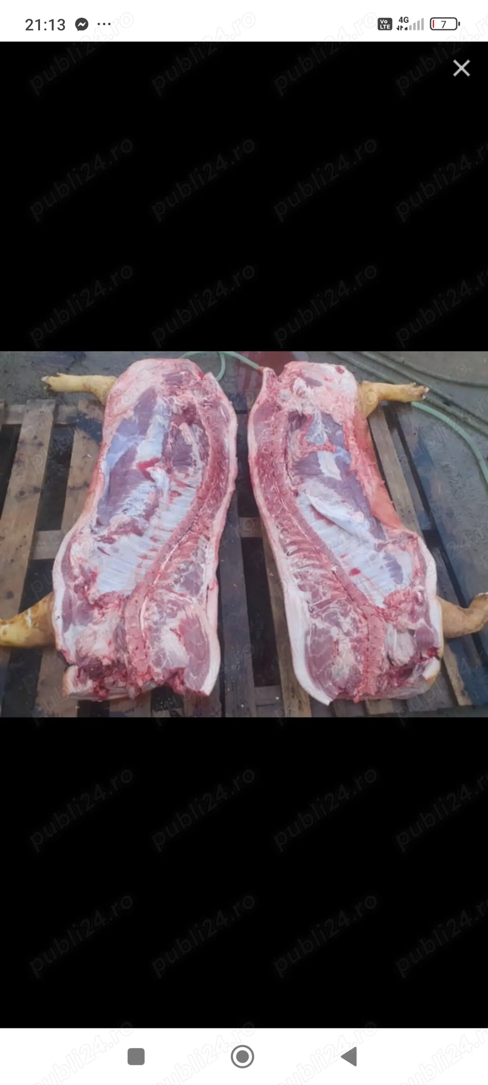 Vând carcasa de porc 