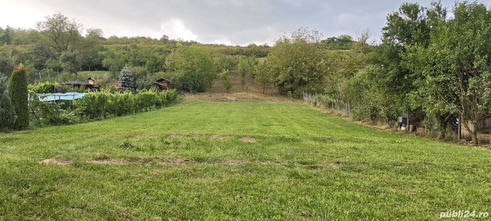 Teren intravilan, 2160mp , Poienița, Livezeni, Mureș 