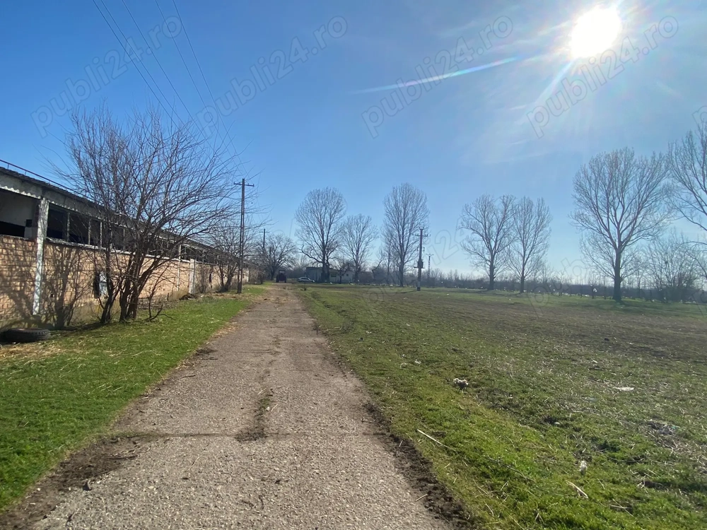 De vânzare ansamblu industrial agricol   Comuna Valea Stanciului, județul Dolj