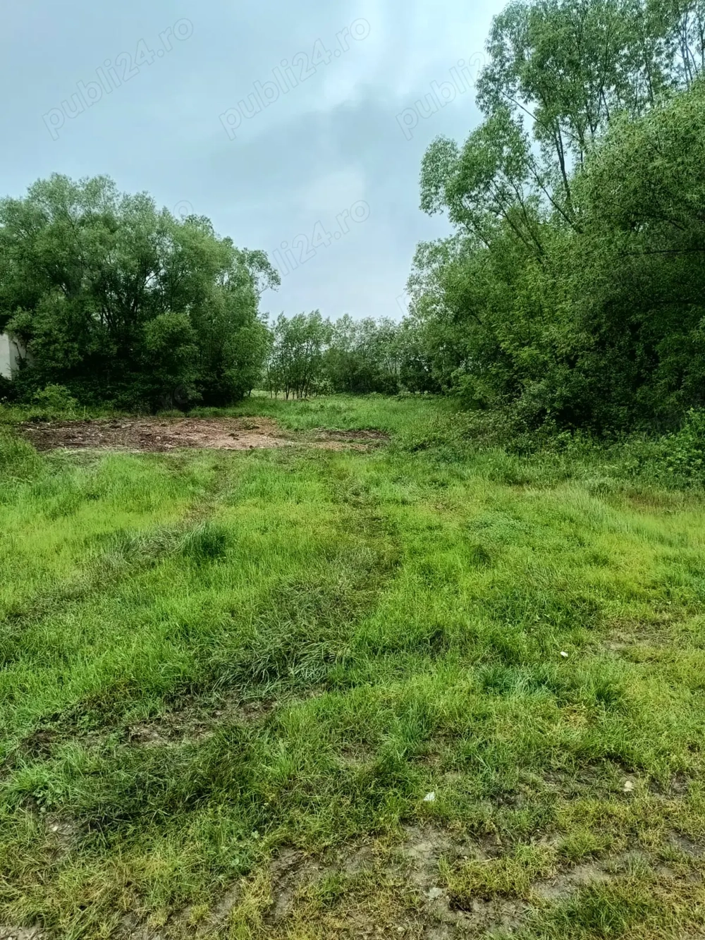 Teren de vanzare intravilan Com Fardea Jud Timis - Langa lacul Surduc