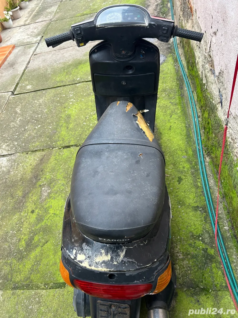 vand sau schimb cu animale