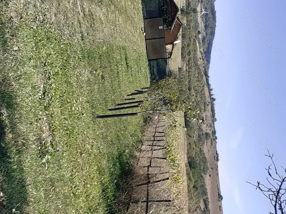Proprietar, vând teren extravilan situat în Hărău, 3 euro mp