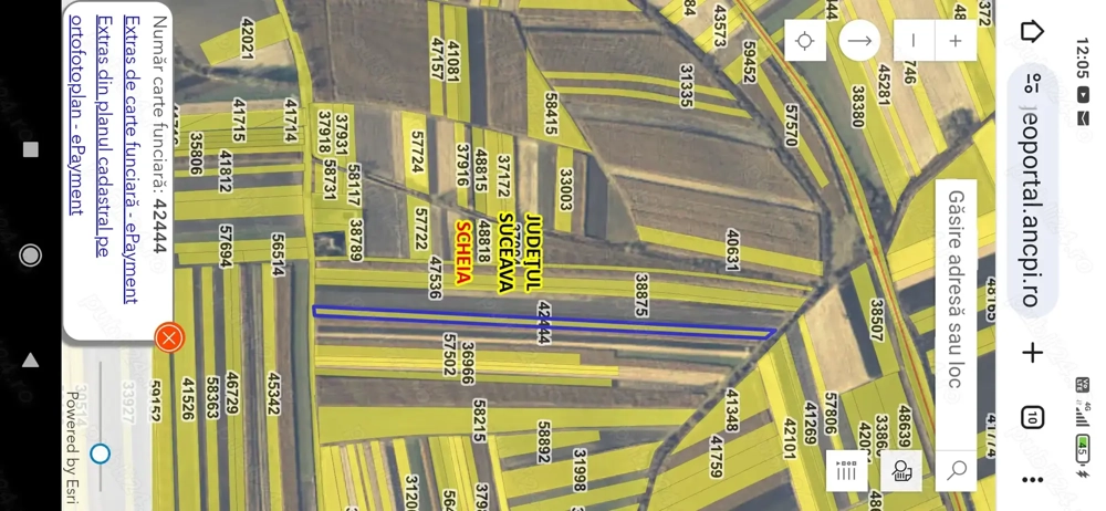 Teren de vânzare în Șcheia 