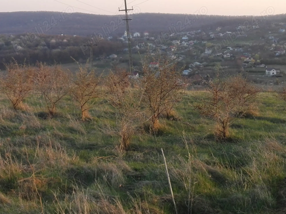 Oportunitate de investiție