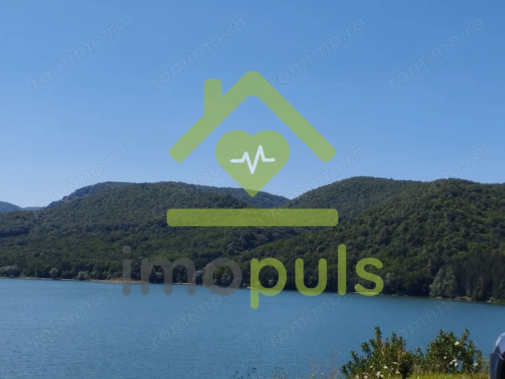 ️ Teren împădurit 20.720 mp (2,07 ha) – malul Lacului Cinciș ✨