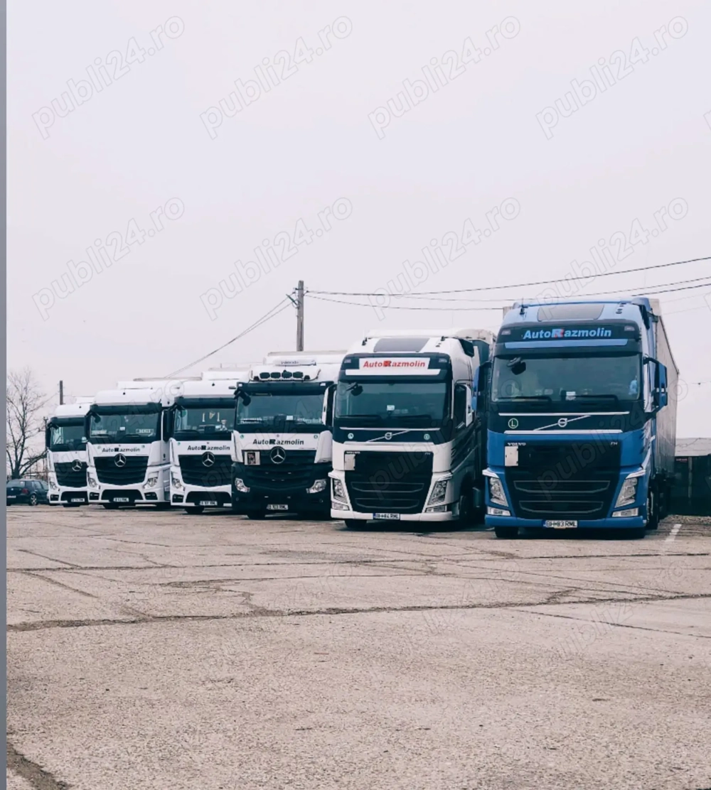 Angajez sofer profesionist camion mega 