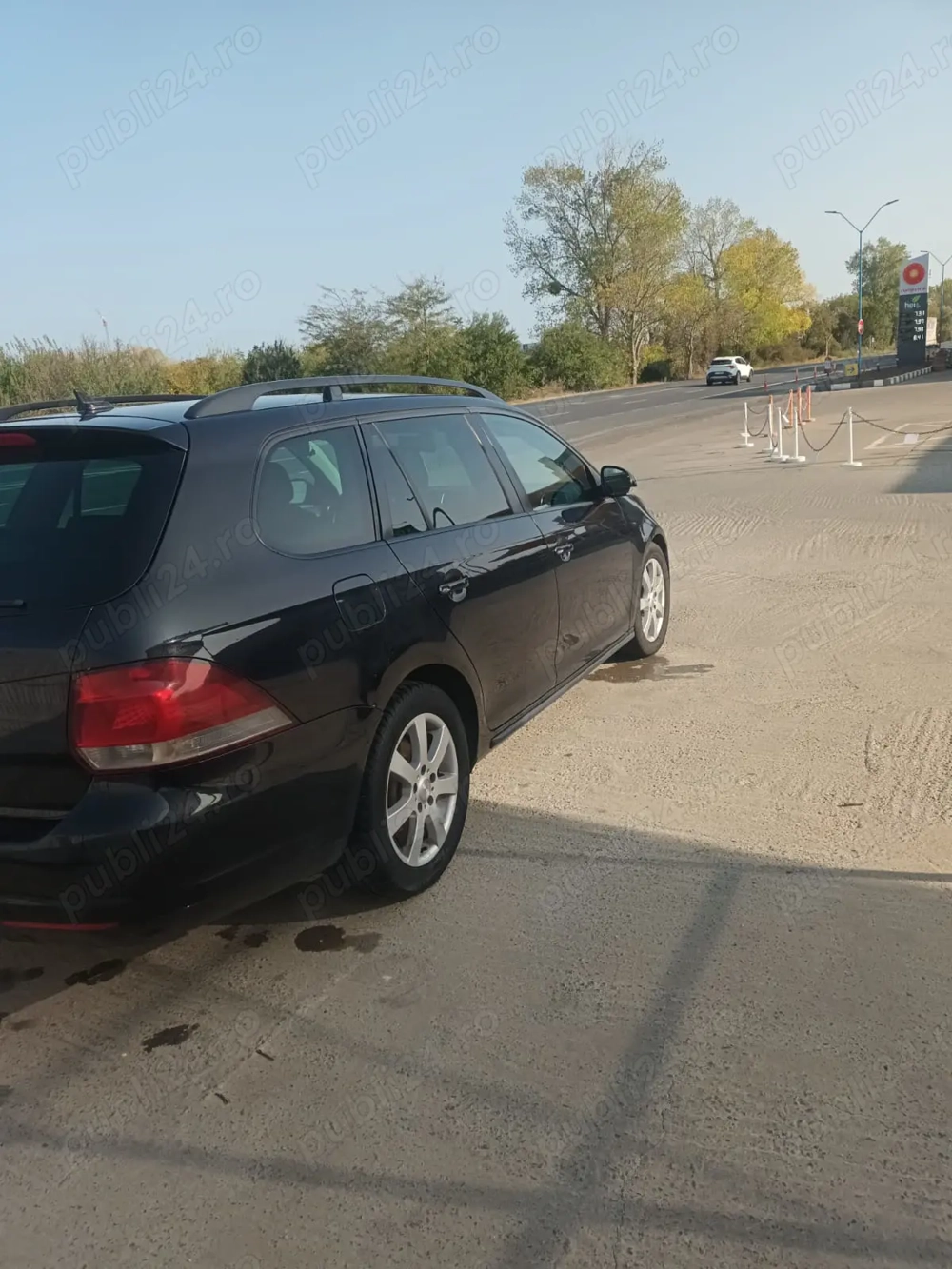 Doresc part time cat BCD