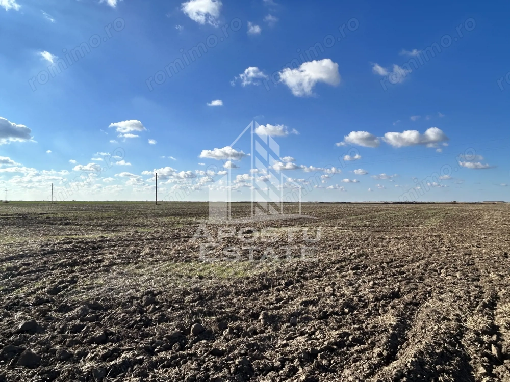 Teren 98.503 mp, de vanzare,  ideal parc fotovoltaic, Peciu Nou.