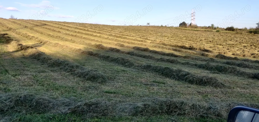 Inchiriez teren 4 ha pentru parc fotovoltaic in Resita