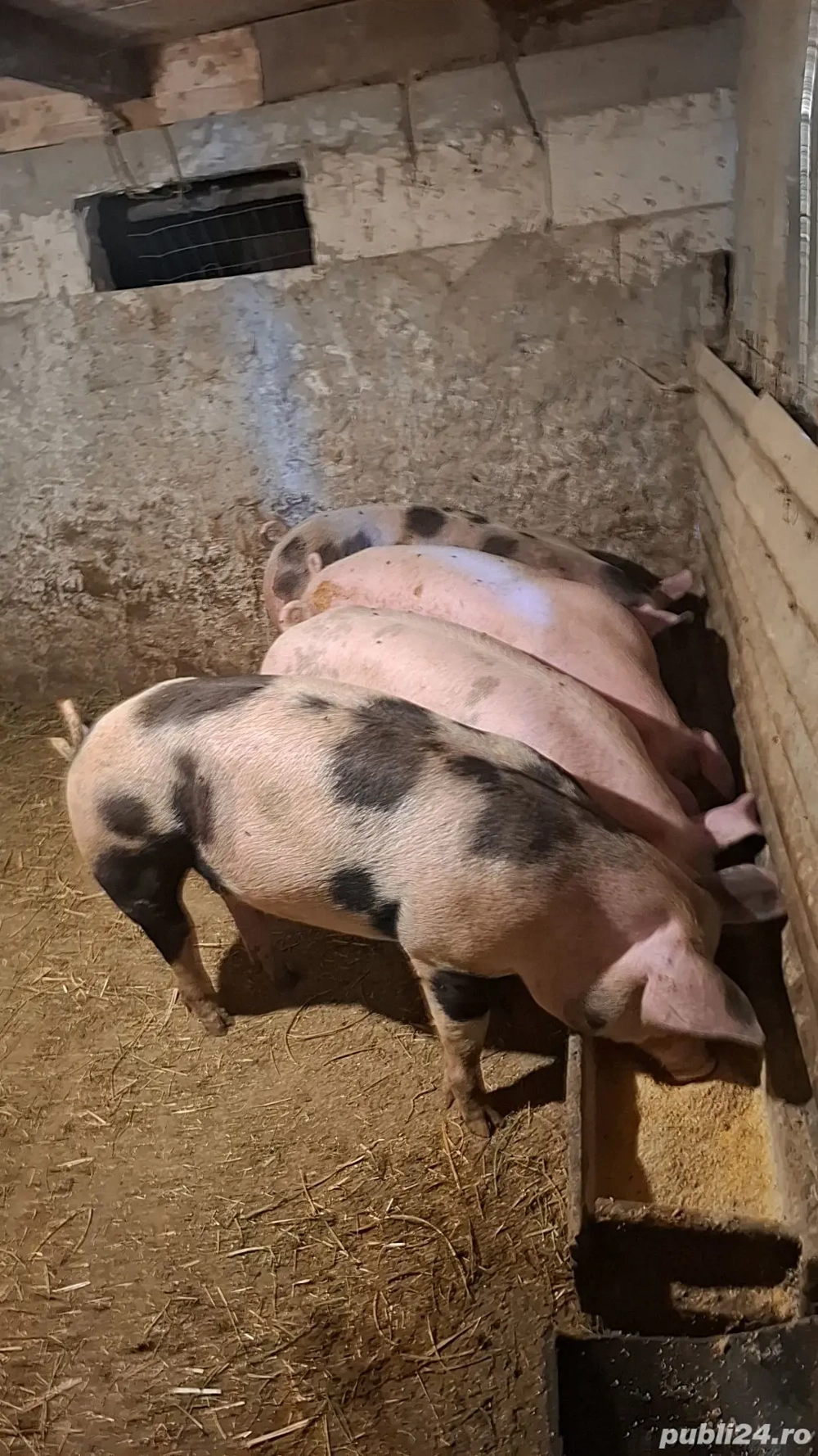 Pentru masa de Crăciun. 