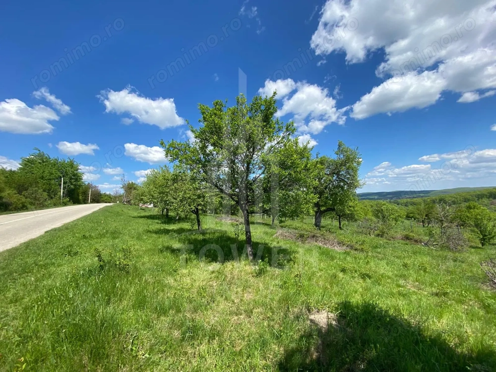 Teren premium 1000 mp-Sibiel