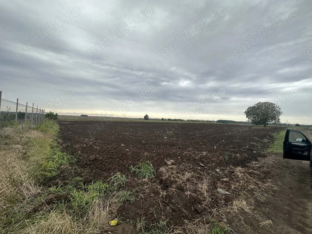 Teren intravilan Ilfov