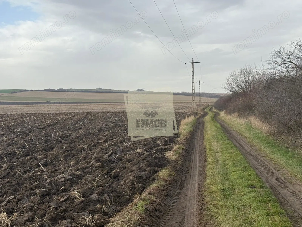 Teren extravilan in EXCLUSIVITATE 20300 mp in Sura Mica