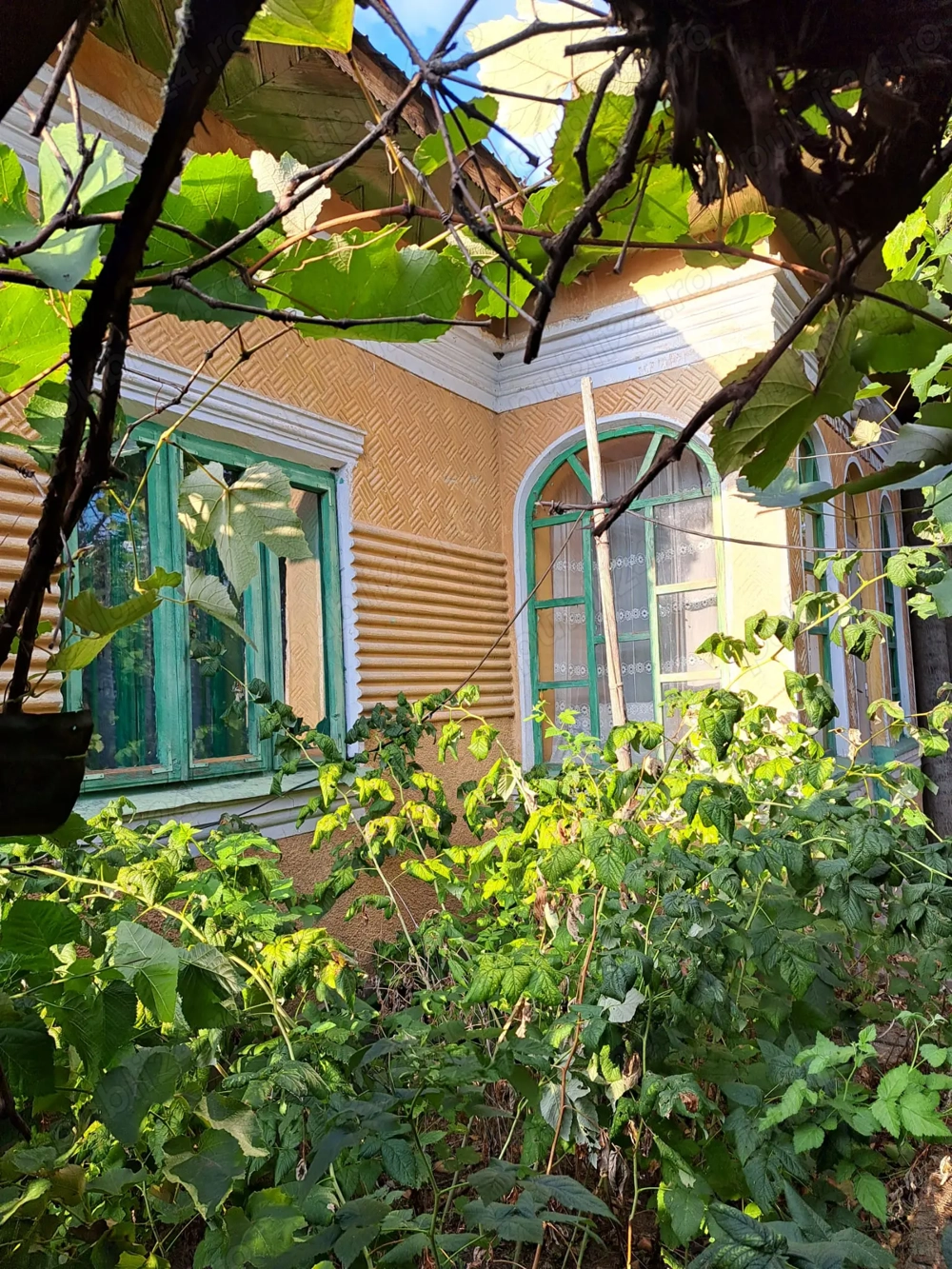 Vand casa cu 2500 mp teren curte