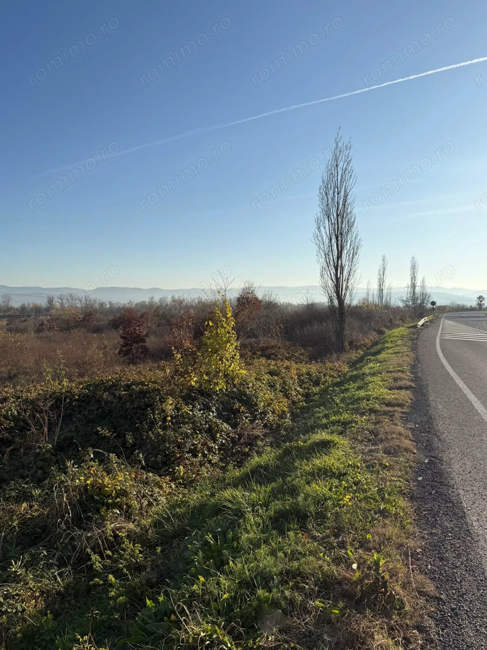 Teren extravilan in total 18.532 mp in Sat Gurasada, Jud. HD.