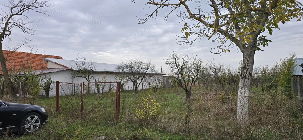 Teren intravilan Nitchidorf jud.Timis