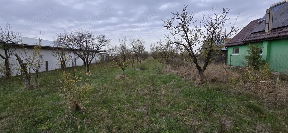 Teren intravilan Nitchidorf jud.Timis