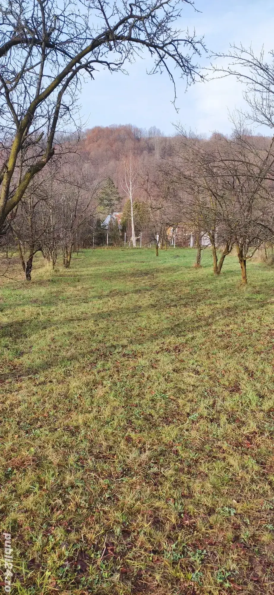 Vând teren intravilan