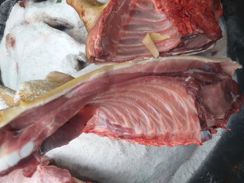 Vand carne de purcei porc la carcasa sau după preferinta kgpret 17 lei kg