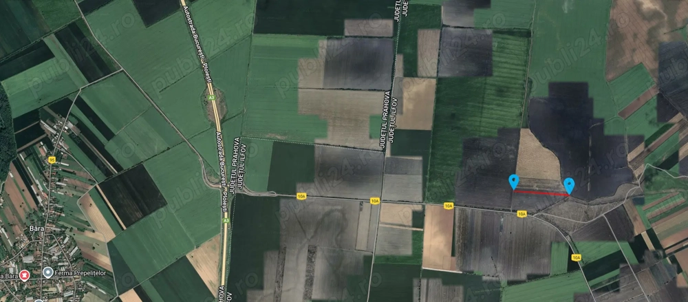 Teren 53.211 mp Nuci   Merii Petchii, Ilfov - 5   mp