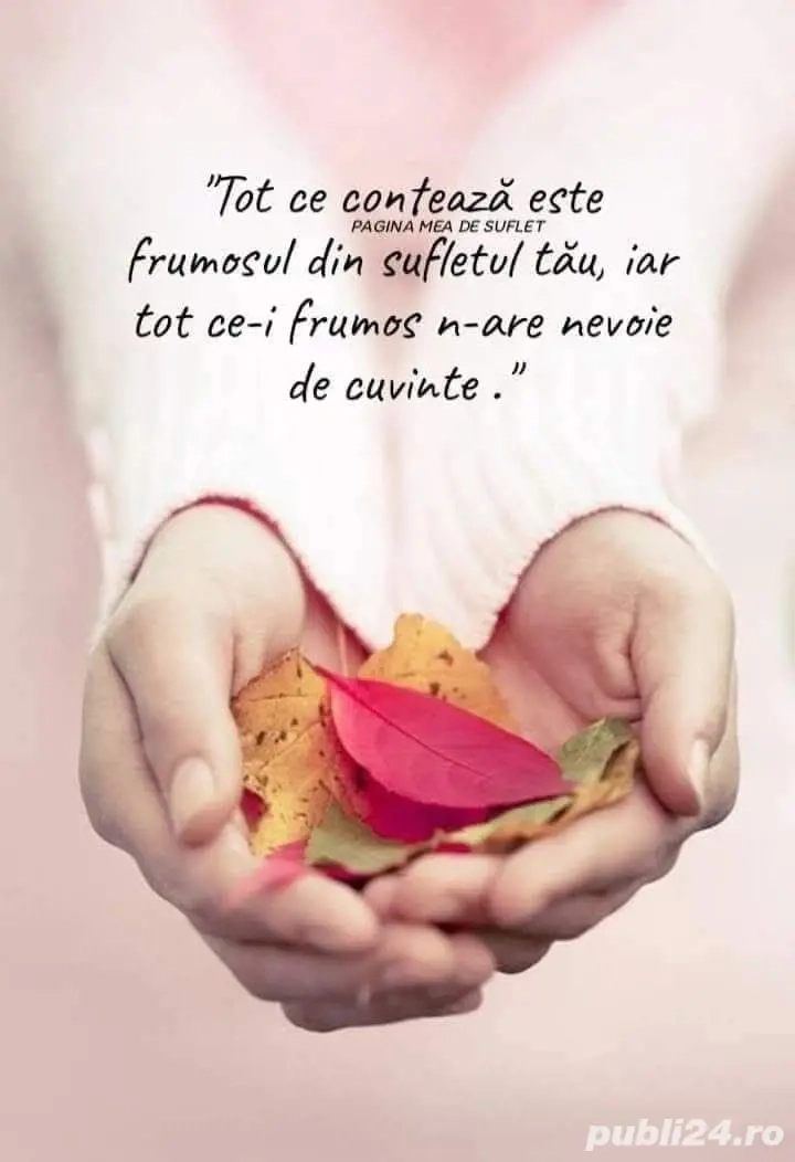 vand apartament 2 camere,mobilat,utilitat Mamaia Nord