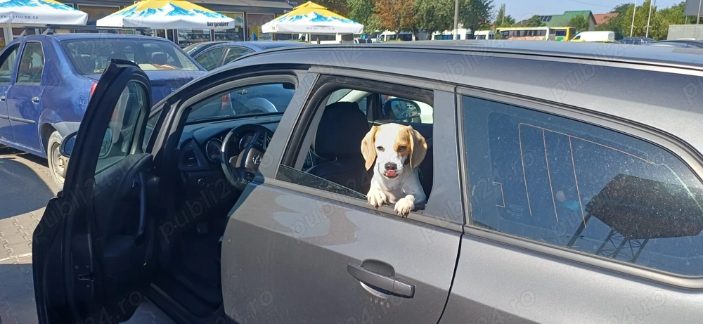 Opel Astra J sport tourer cu webasto din fabrica