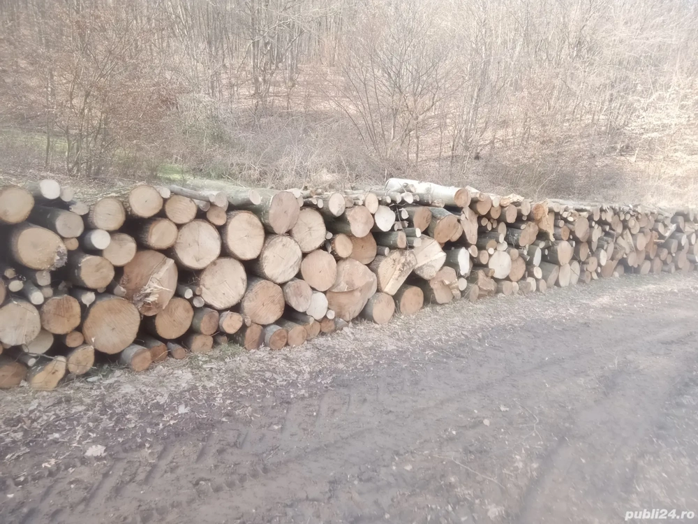 vand lemne de foc esenta tare transport la domiciliu 