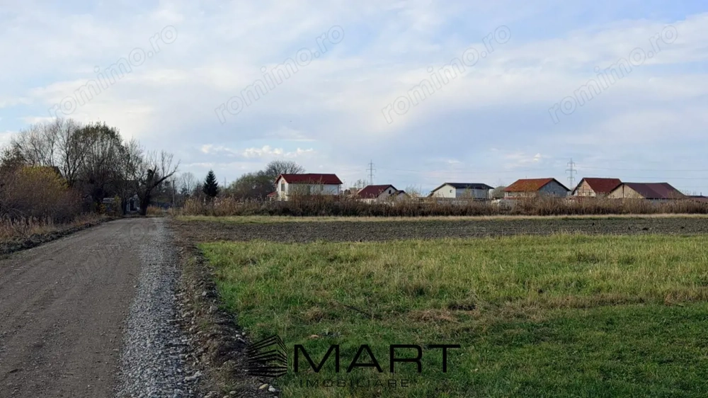 Teren Extravilan 15.000 mp Prejmer