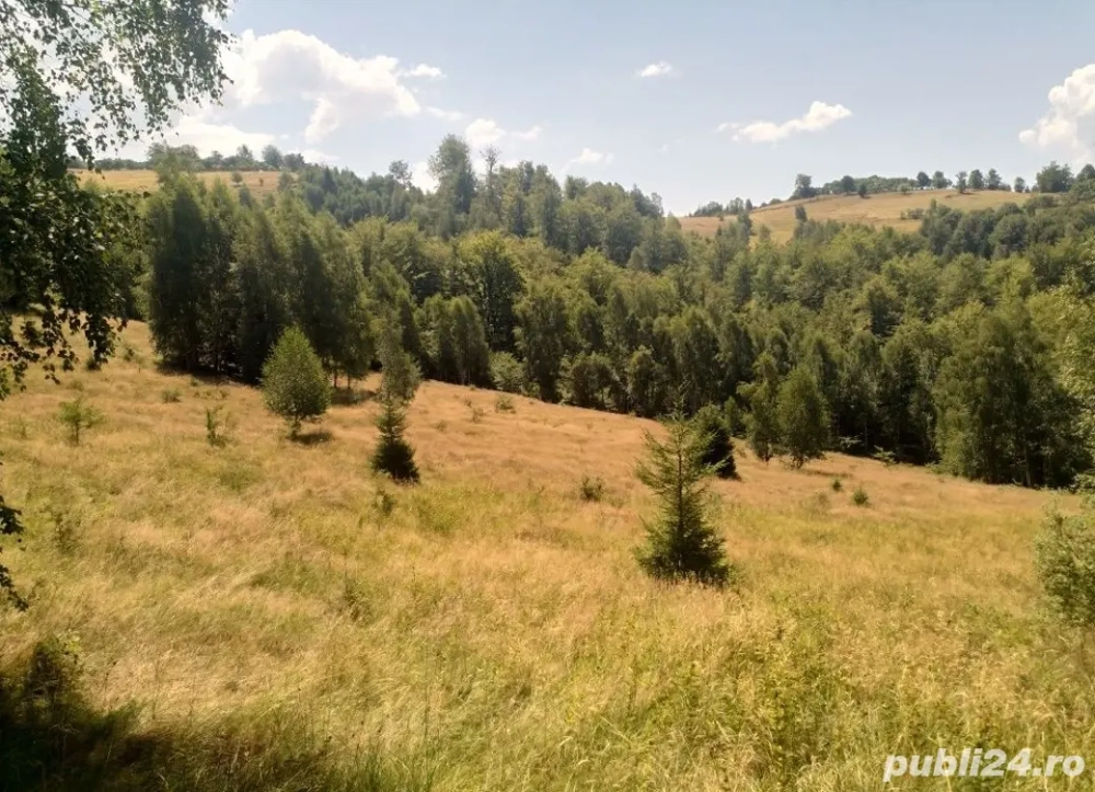 Teren zona Rusu