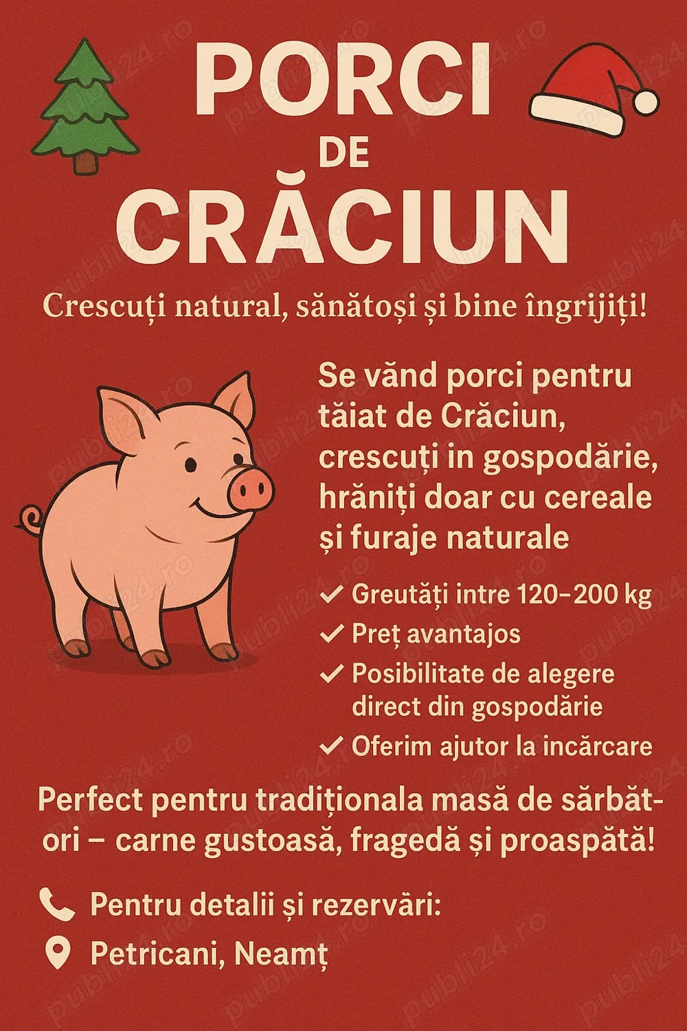 Vând porci de carne crescuți cu cereale
