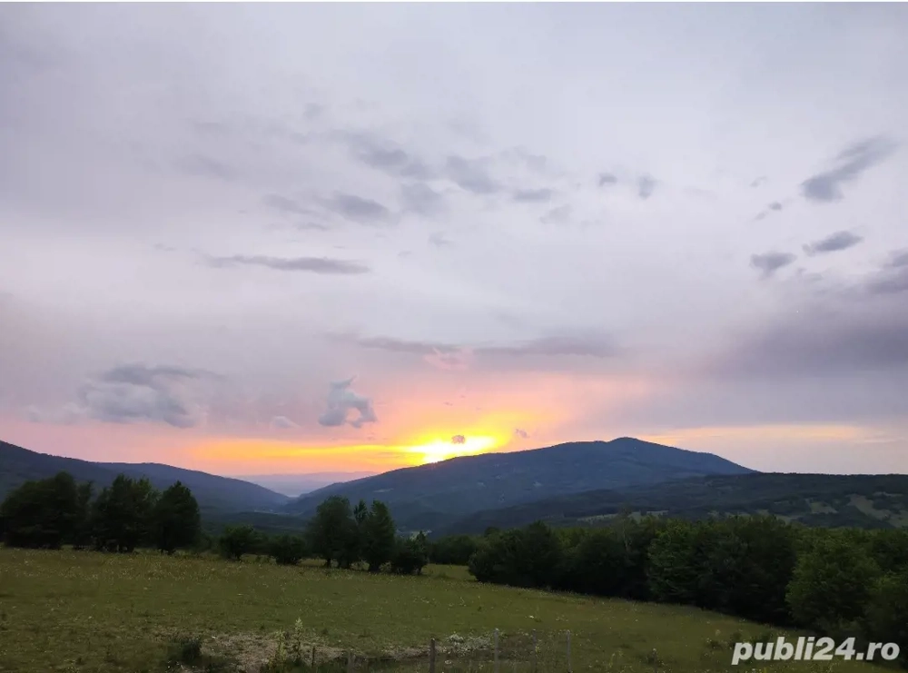 Cabană de închiriat 