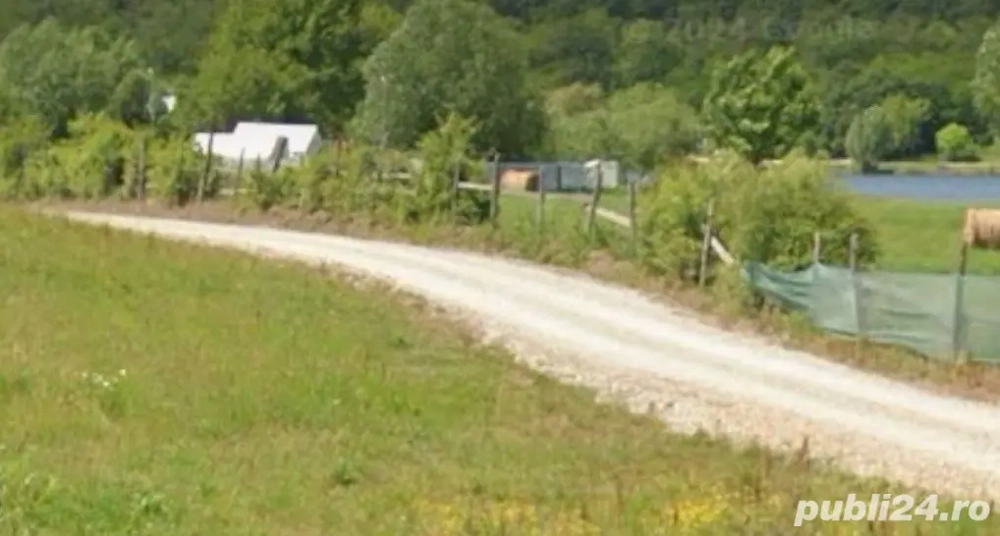 Sofimob Team  Teren Paleu 