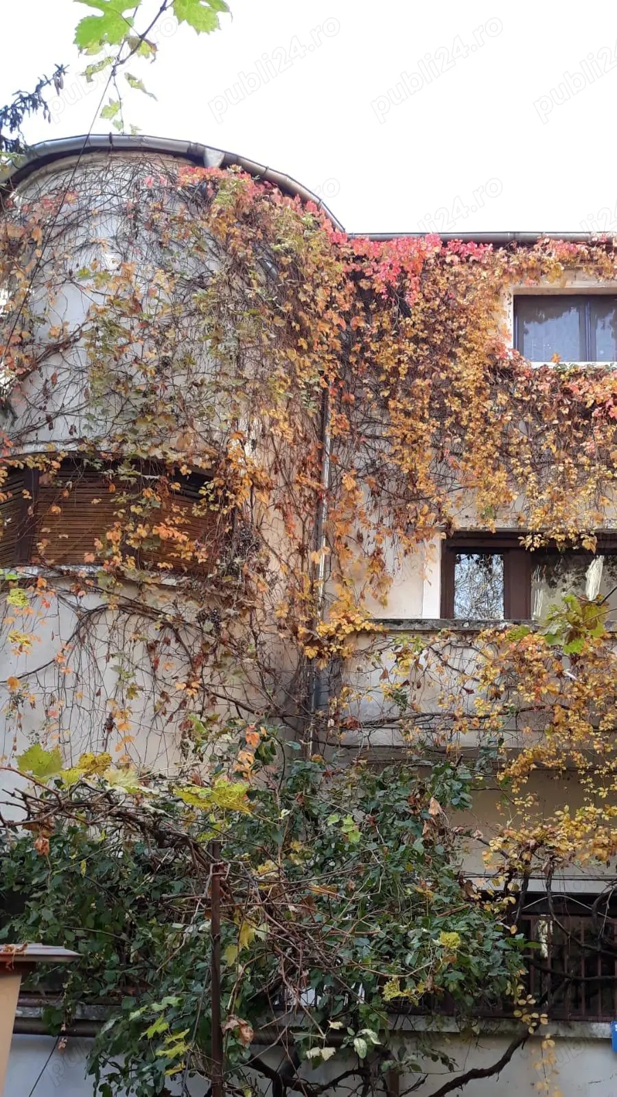 Inchiriere spatiu de birou sau activitati profesionale   zona centrala 