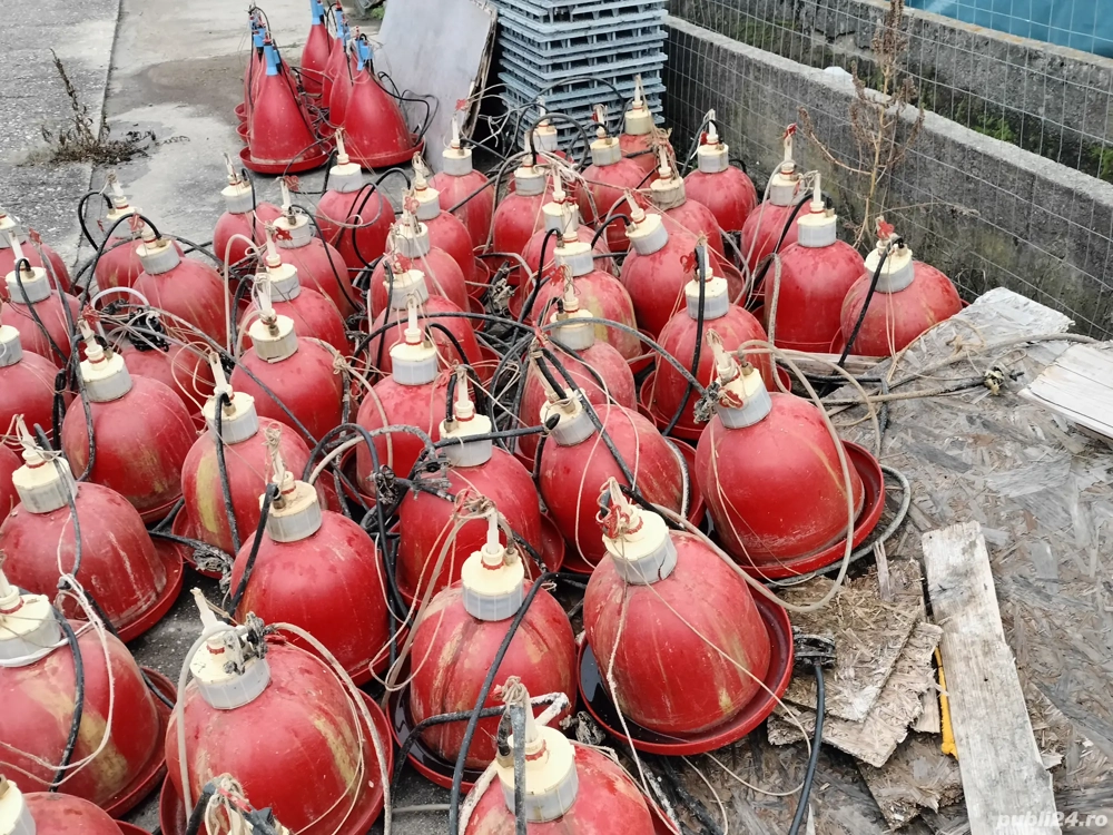 adăpători pui , curcani ,găini  etc