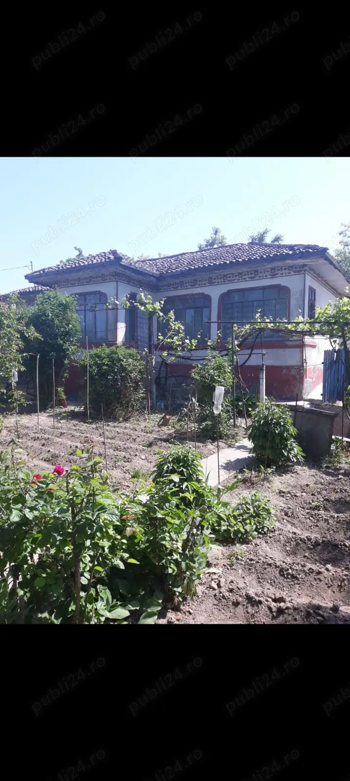 Casa batraneasca de vanzare, Oltina, Constanta, teren 1100mp, aproape de Dunare