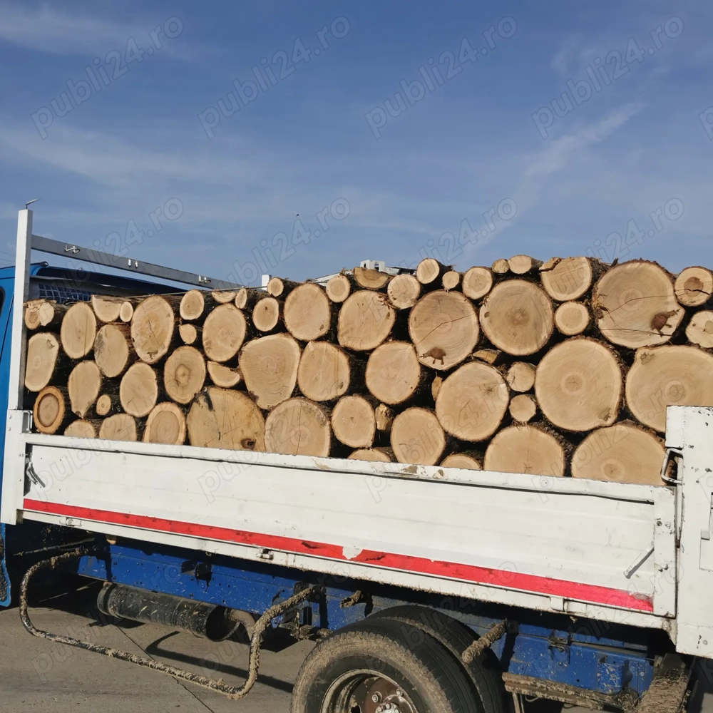 Lemne de foc esență tare 