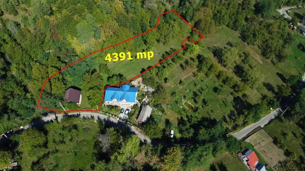 Casă " la  roșu " + 4391 mp teren de vânzare în comuna Valea Danului, sat Borobănești, județ Argeș.