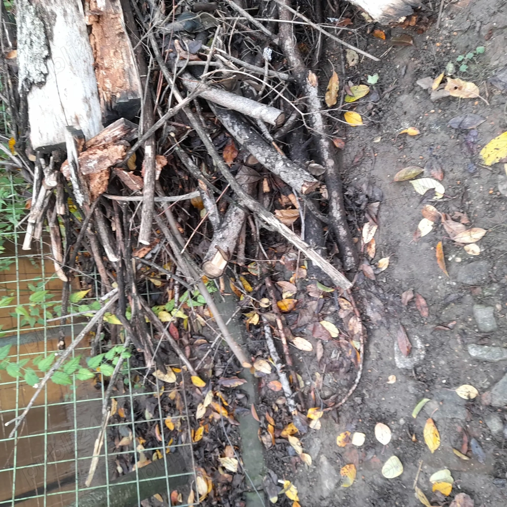 donatie lemne de foc