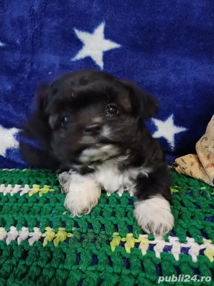 ,,O fetiță  si un baiat,,