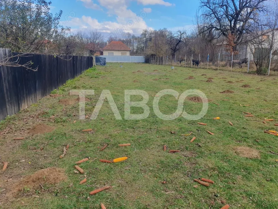 Comision 0 % Teren intravilan 2 cai de acces 3100 mp Savastreni