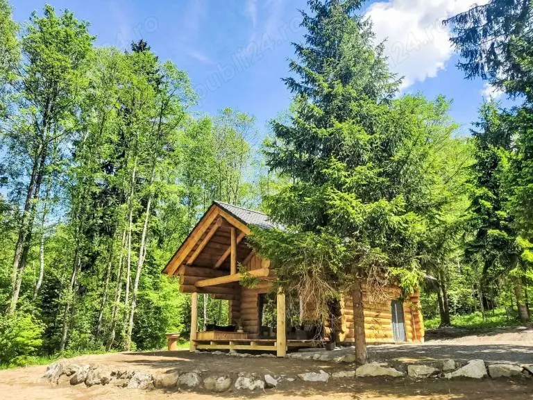 cabana superba brasov 