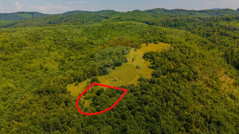 COMISION 0%  Teren 6,572 mp/Curți construcții/ Intravilan