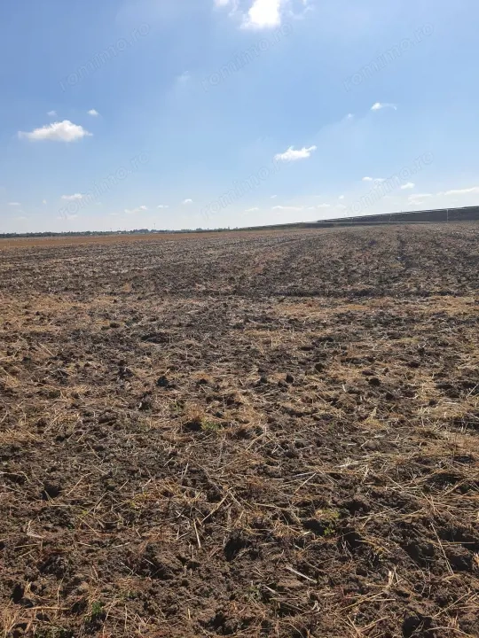 TEREN  EXTRAVILAN 7.802 mp –DOMNESTI, ILFOV