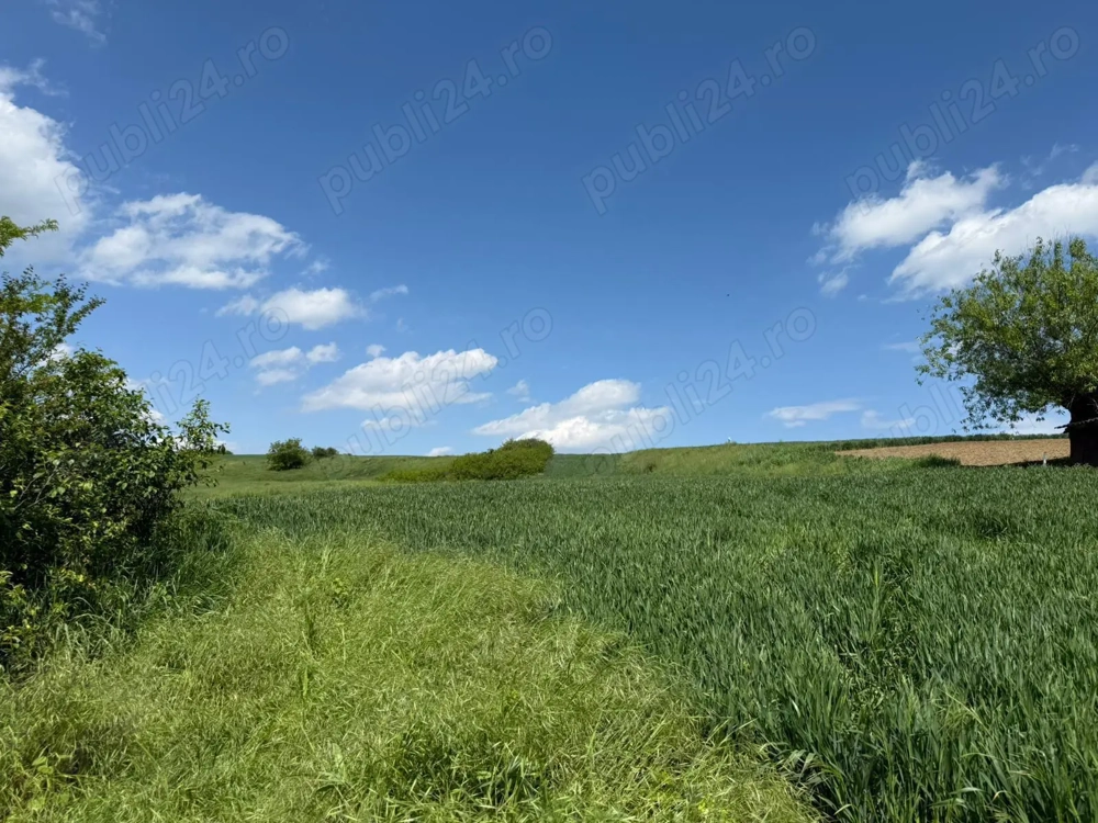 Teren de vanzare Zaicesti Botosani