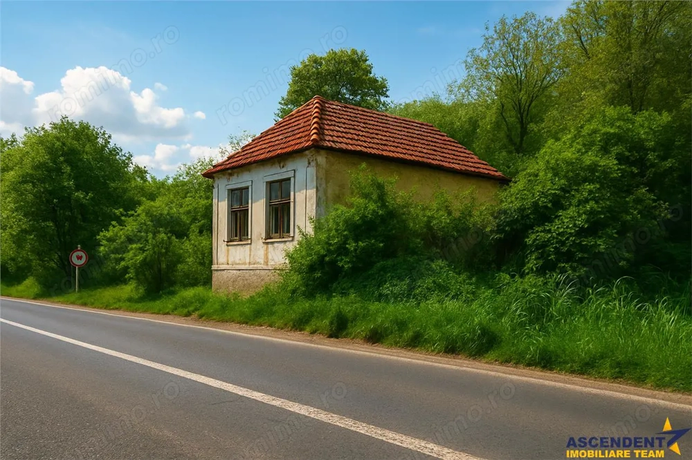 Domeniu verde autentic,  +5.000mp, front la DJ, Valcele, Brasov -- Covasna